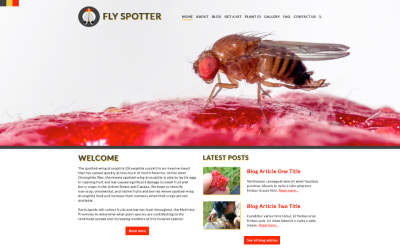 Fly Spotter Website