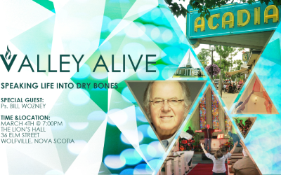 Valley Alive 2017 Poster