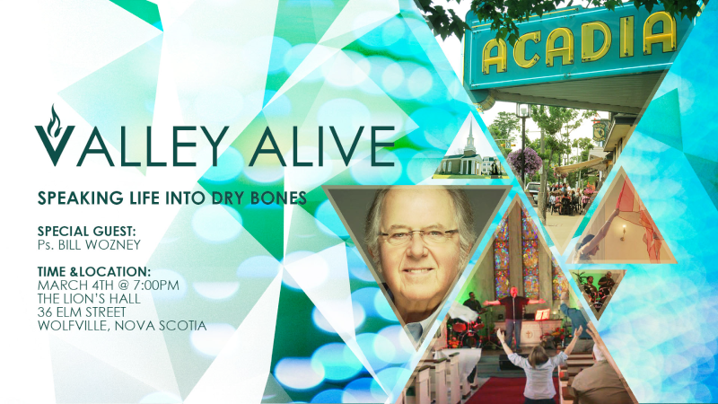 Valley Alive 2017 Poster